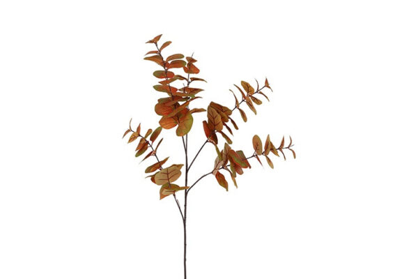 Eucalyptus brun h 94 cm