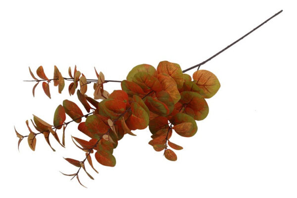 Eucalyptus brun h 94 cm - Image 2