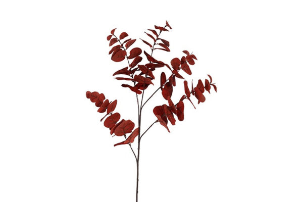Eucalyptus bordeaux h 94 cm