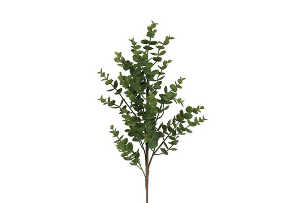 Eucalyptus grøn h 35 cm