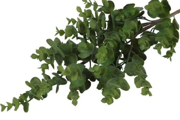 Eucalyptus grøn h 35 cm - Image 2