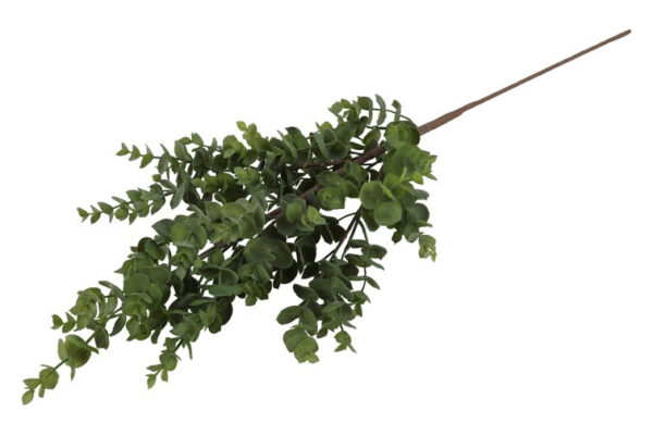Eucalyptus grøn h 40 cm - Image 2