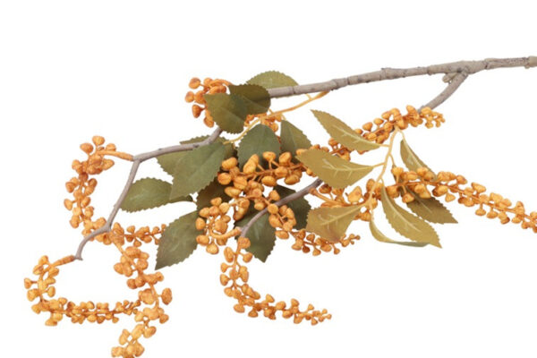 Phytolacca amber h 76 cm - Image 2