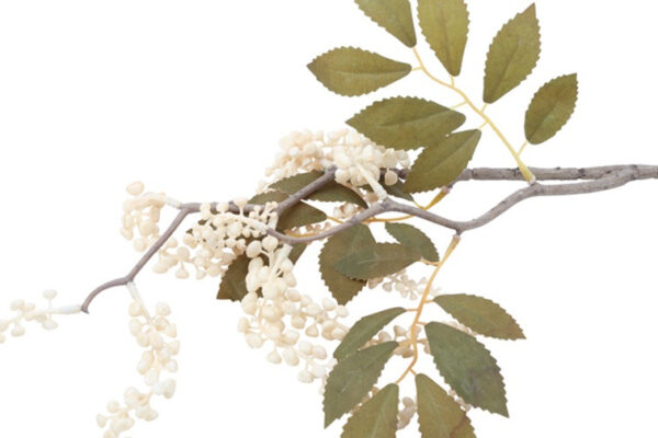 Phytolacca creme h 76 cm - Image 2