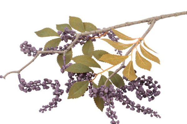 Phytolacca purple h 76 cm - Image 2