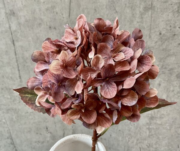 Hortensia copper h 70 cm - Image 4