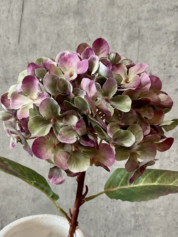 Hortensia grøn/lilla h 40 cm - Image 4