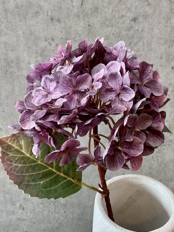 Hortensia lilla h 40 cm - Image 4