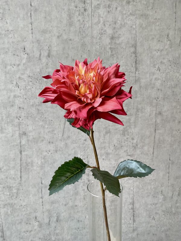 Dahlia lys bordeaux h 71 cm - Image 4