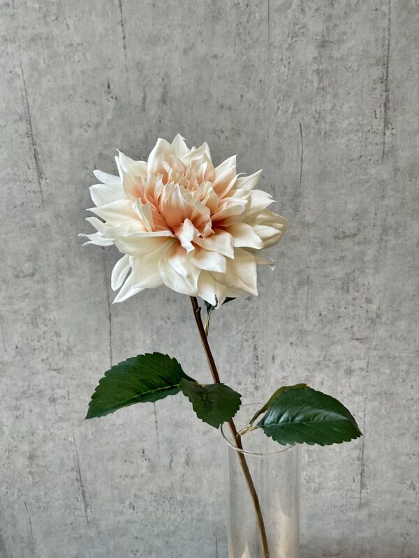 Dahlia creme h 71 cm - Image 4