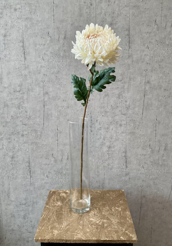 Chrysanthemum creme h 75 cm - Image 3