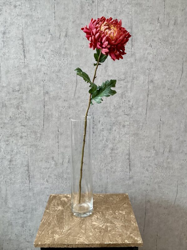 Chrysanthemum lys bordeaux h 75 cm - Image 3