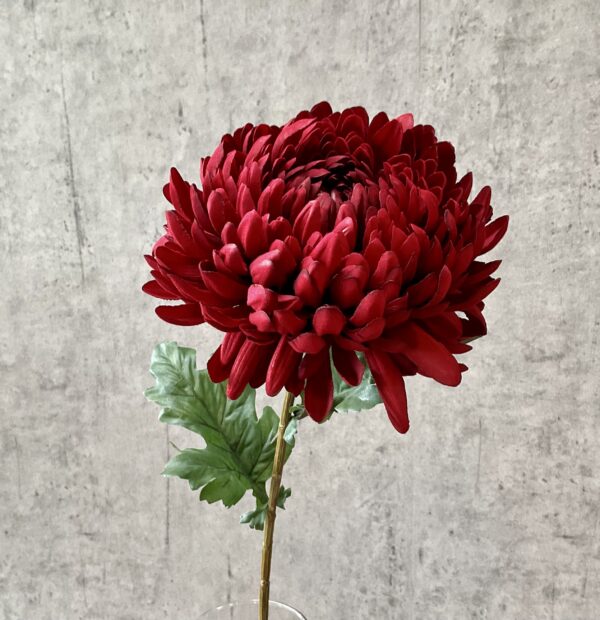 Chrysanthemum rød h 75 cm - Image 3