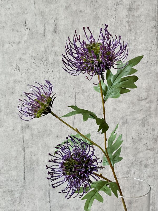 Protea purple h 71 cm - Image 4