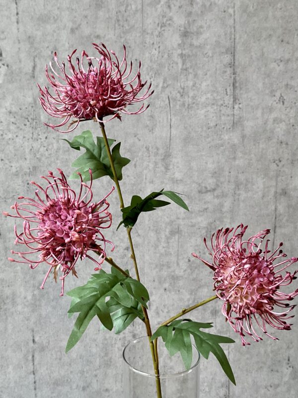Protea fuchsia h 71 cm - Image 4