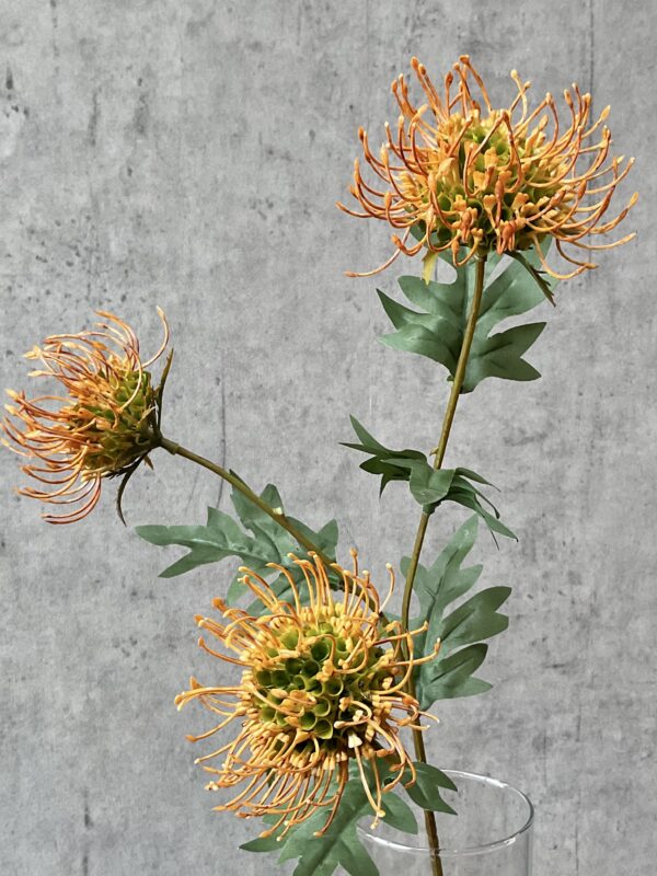 Protea orange h 71 cm - Image 4