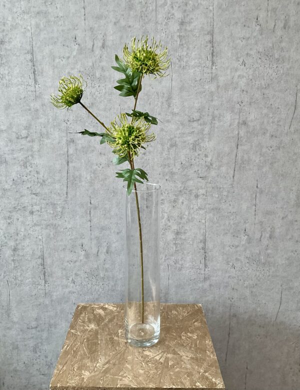 Protea grøn h 71 cm - Image 3