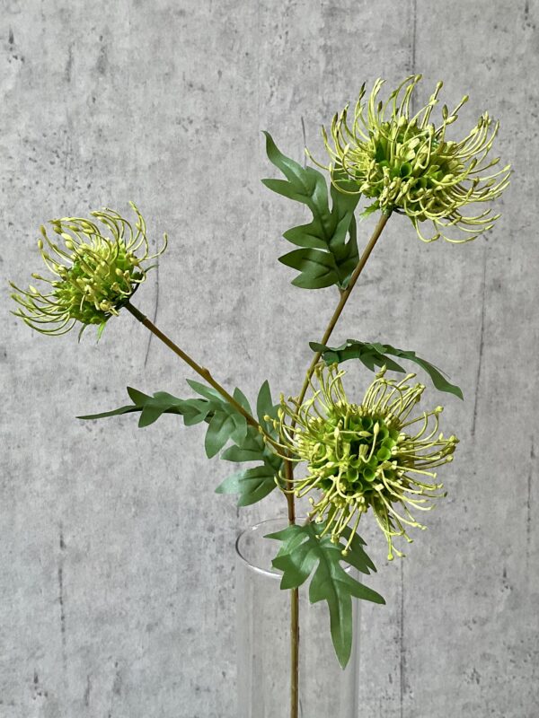 Protea grøn h 71 cm - Image 4