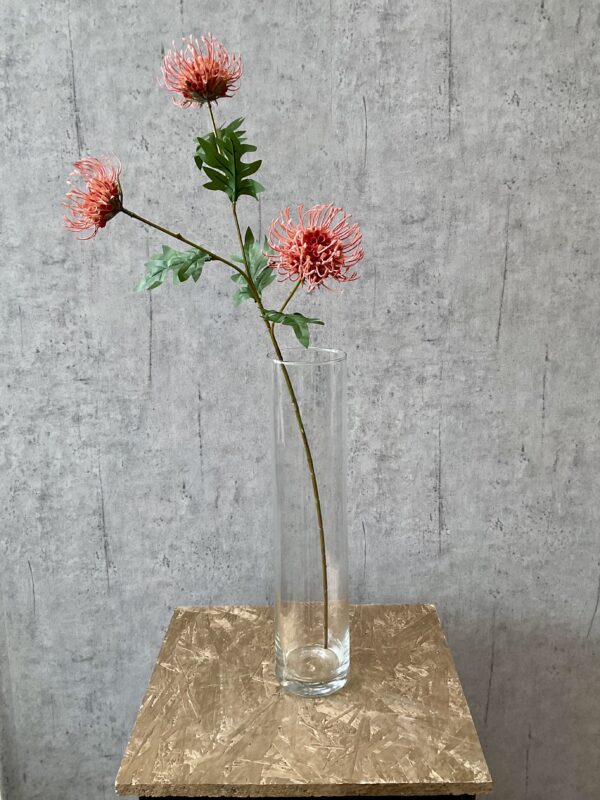 Protea peach h 71 cm - Image 3