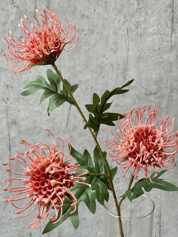 Protea peach h 71 cm - Image 4