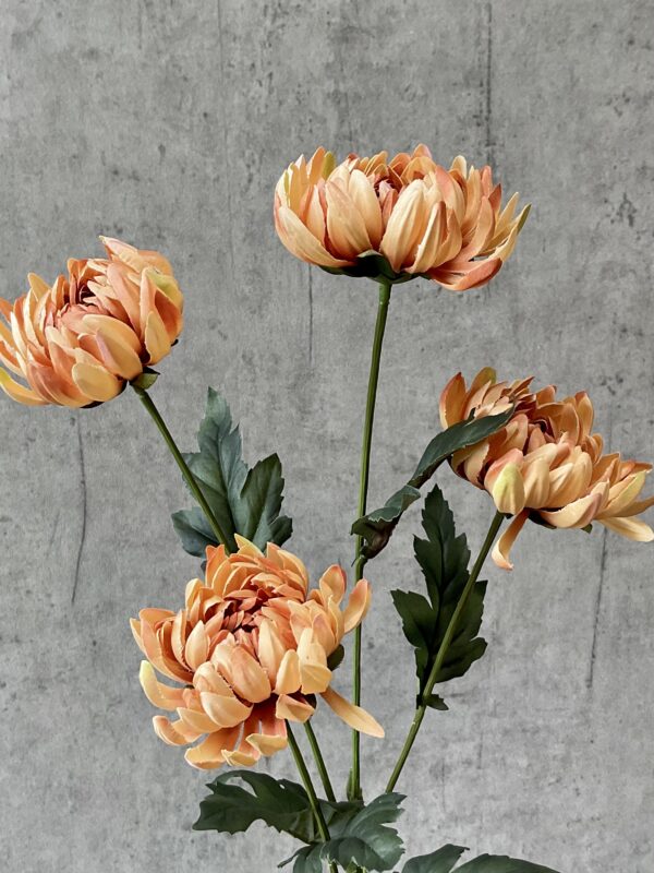 Chrysanthemum karmel h 83 cm - Image 4