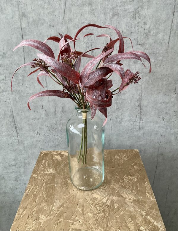Eucalyptus rød bundt a 5 h 44 cm - Image 3