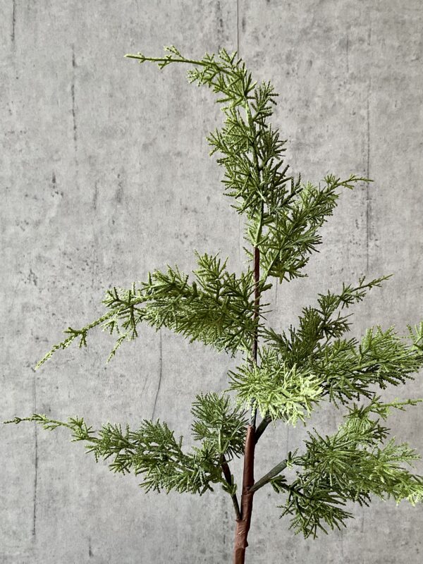 Cypres grøn h 81 cm - Billede 4
