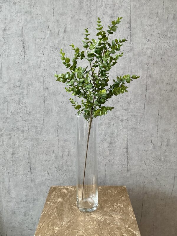 Eucalyptus grøn h 40 cm - Image 3