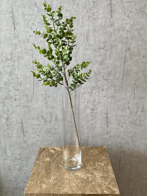 Eucalyptus grøn h 35 cm - Image 3