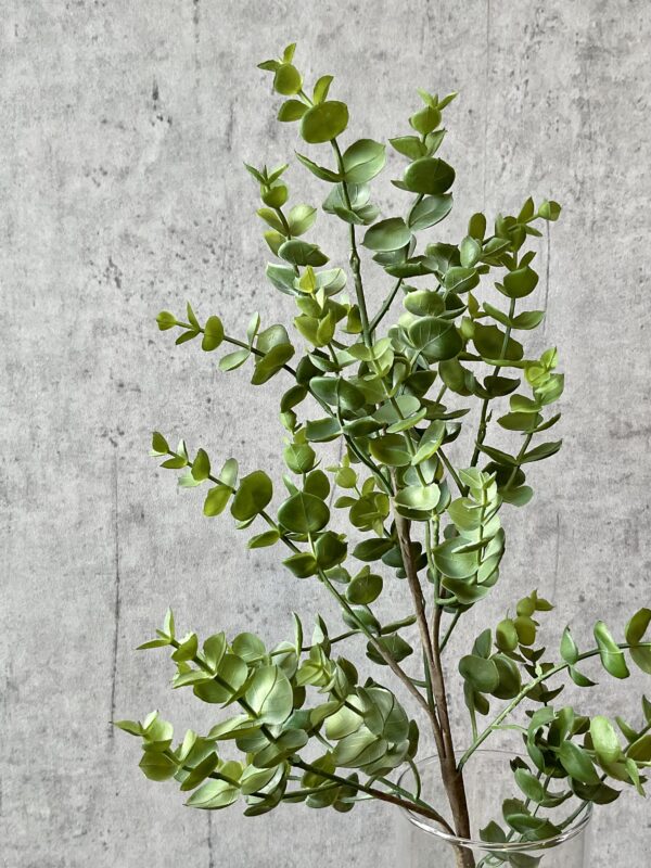 Eucalyptus grøn h 35 cm - Image 4