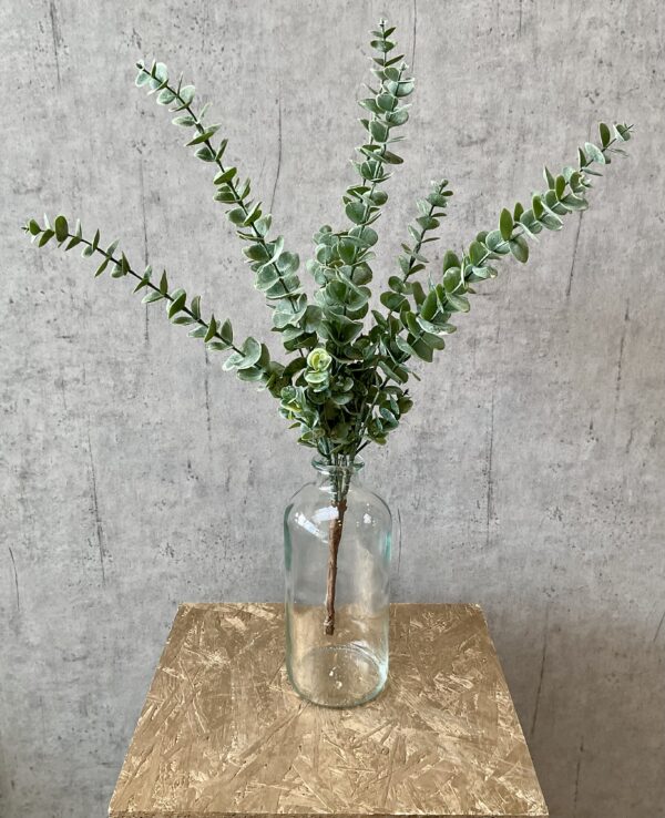Eucalyptus grøn h 61 cm - Image 3