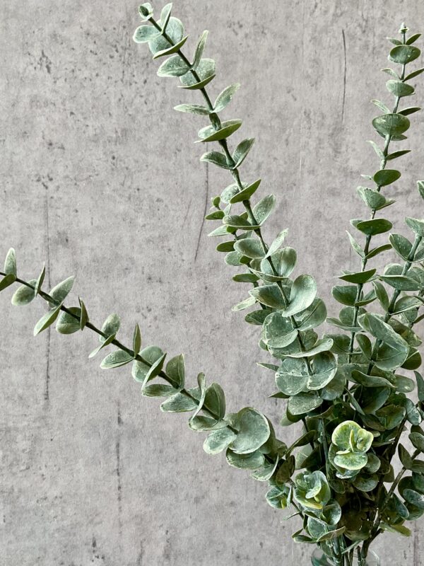 Eucalyptus grøn h 61 cm - Image 4
