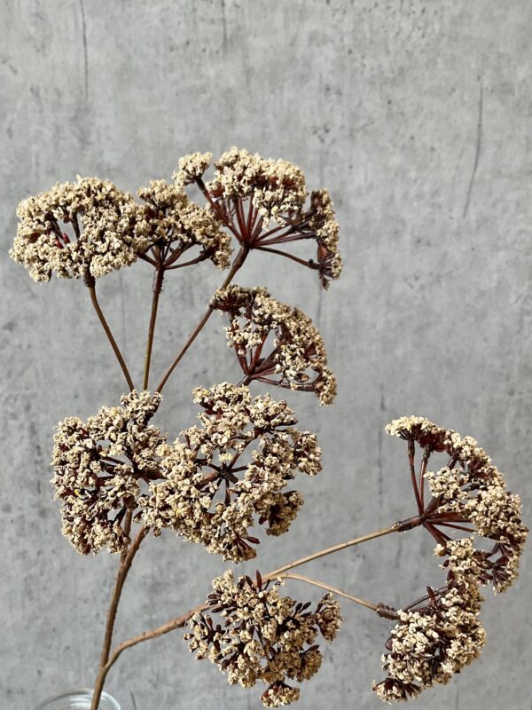 Eupatorium beige h 57 cm - Image 4