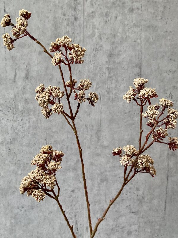 Eupatorium beige h 81 cm - Image 3