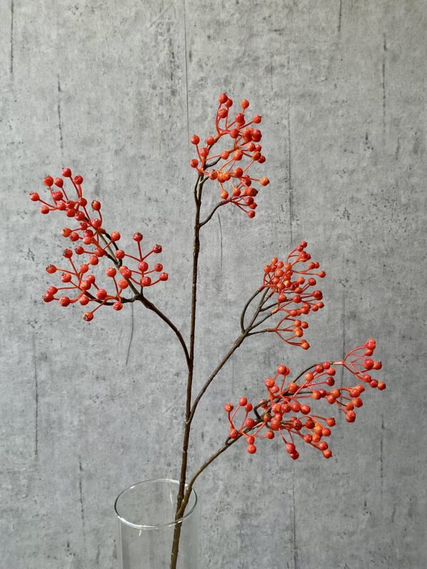 Ilex bærgren orange h 77 cm - Image 4