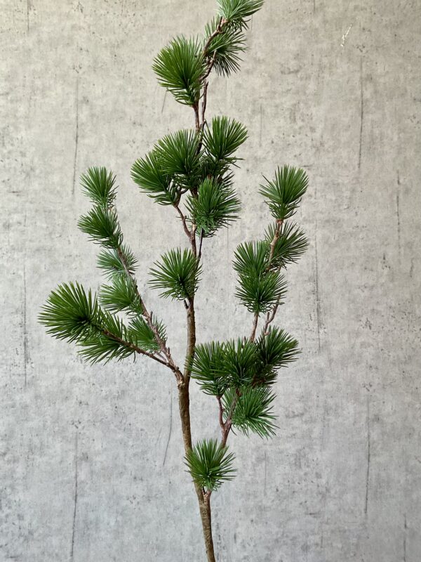 Ceder gran grøn h 106 cm - Billede 4