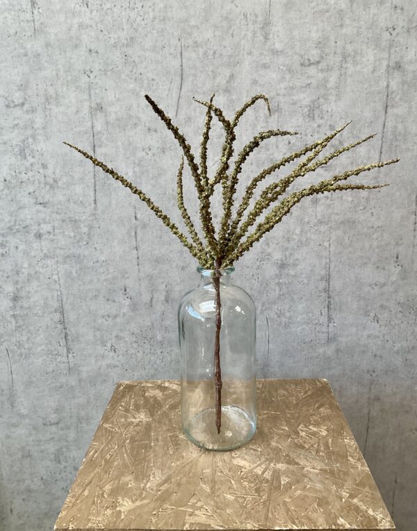 Trachycarpus grøn h 50 cm - Image 3