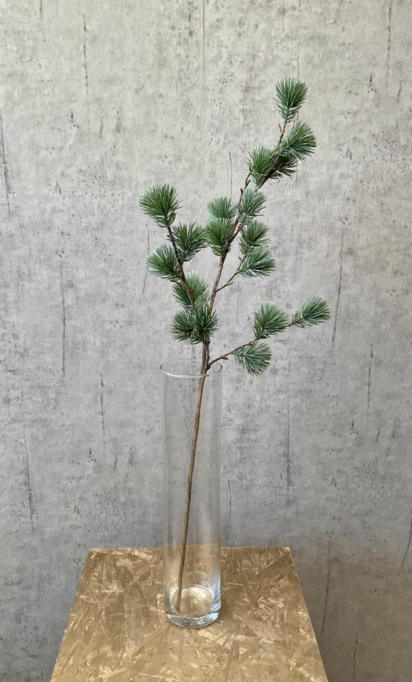 Ceder gran støvet grå h 78 cm - Billede 3