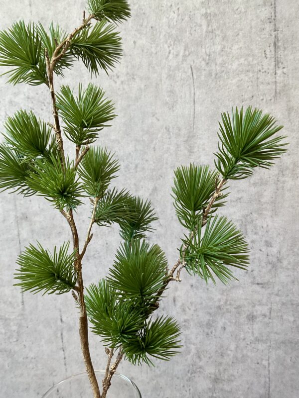 Ceder gran grøn h 78 cm - Billede 4