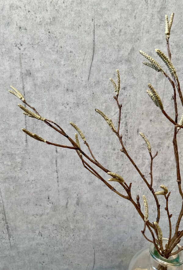 salix grøn bund a 3stk 56 cm - Billede 4