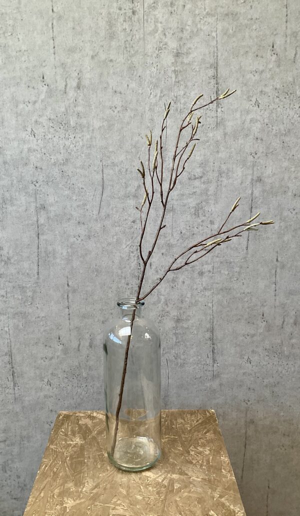 salix  gren grøn h 75 cm - Billede 3