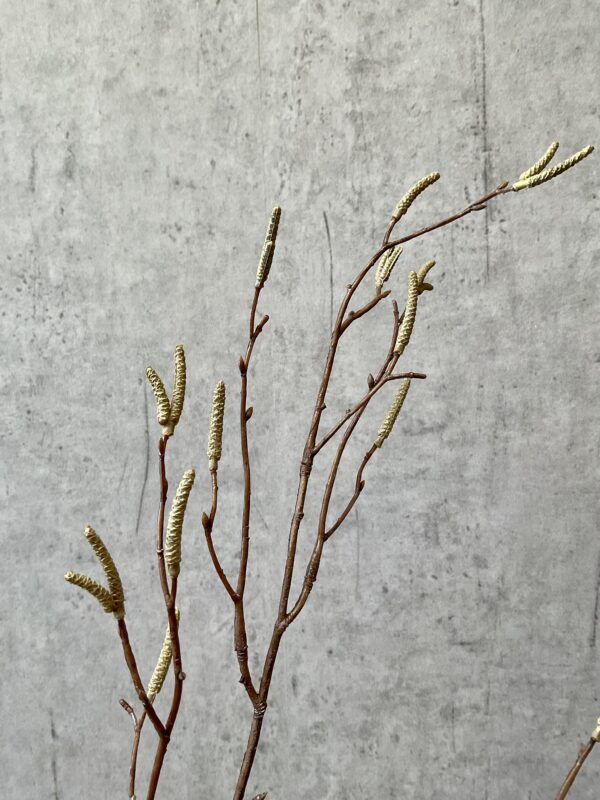 salix  gren grøn h 75 cm - Billede 4