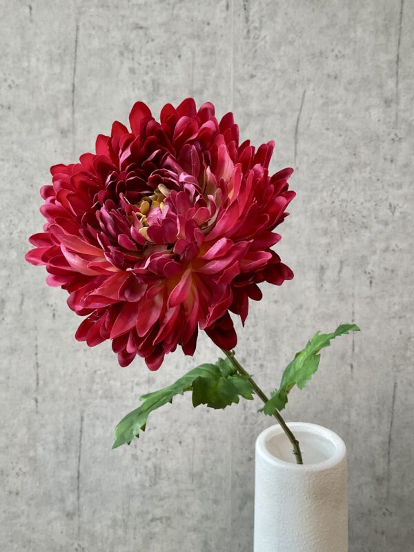 Chrysanthemum lys bordeaux h 75 cm - Image 4