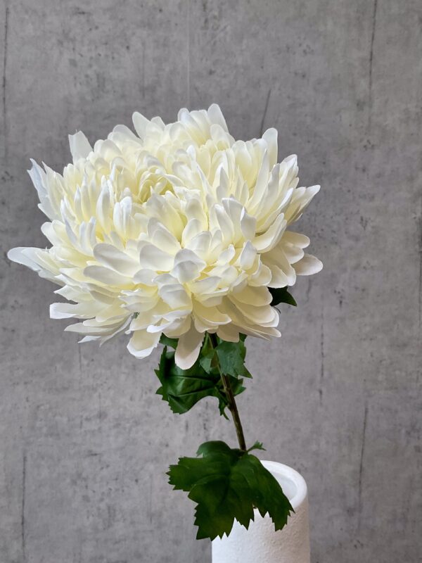 Chrysanthemum hvid h 75 cm - Image 4