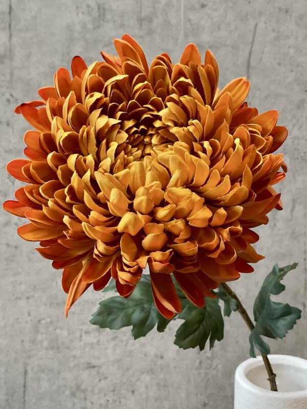 Chrysanthemum lys orange h 75 cm - Image 4