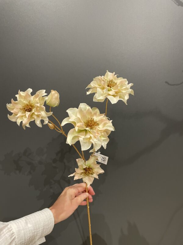 Julerose creme m/guld h 66 cm - Billede 3
