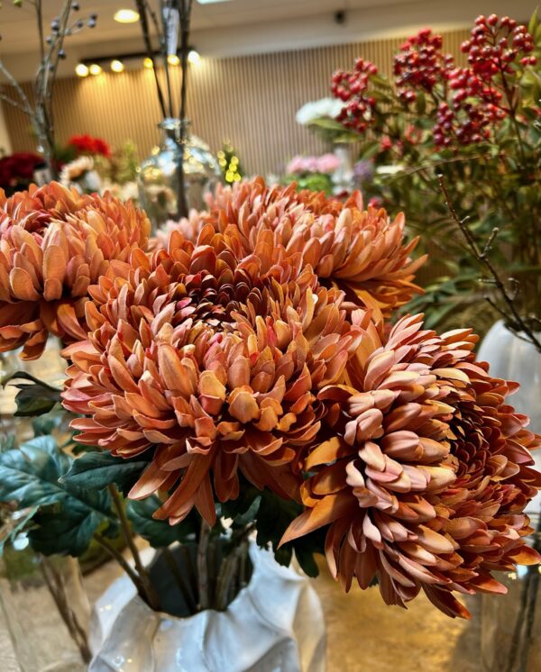 Chrysanthemum gammel rosa h 75 cm - Billede 5