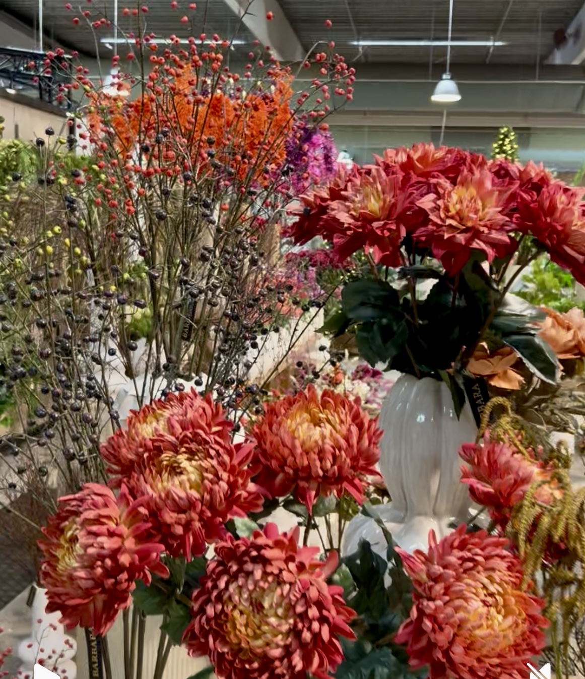 Chrysanthemum lys bordeaux h 75 cm - Billede 6