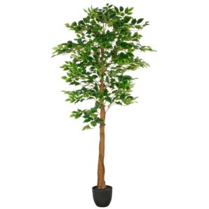 Ficus h 180 cm UV-bestandig
