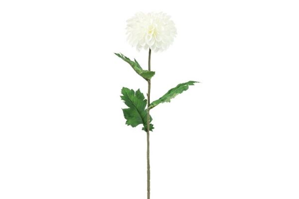 Dahlia hvid h 75 cm